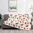 thumbnail image 2 of Naloa Hand Drawn Watermelon Flannel Blankets - Thick and Warm Blanket for Winter, Soft Fuzzy Plush King Blanket for All Seasons50"x40", 2 of 6