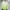 Green, variant on HAOTAGS Boys Sun Protection Jacket,Sunproof Hooded UV-Blocking Lightweight Long Sleeve Athletic Jackets Green 14-15 T