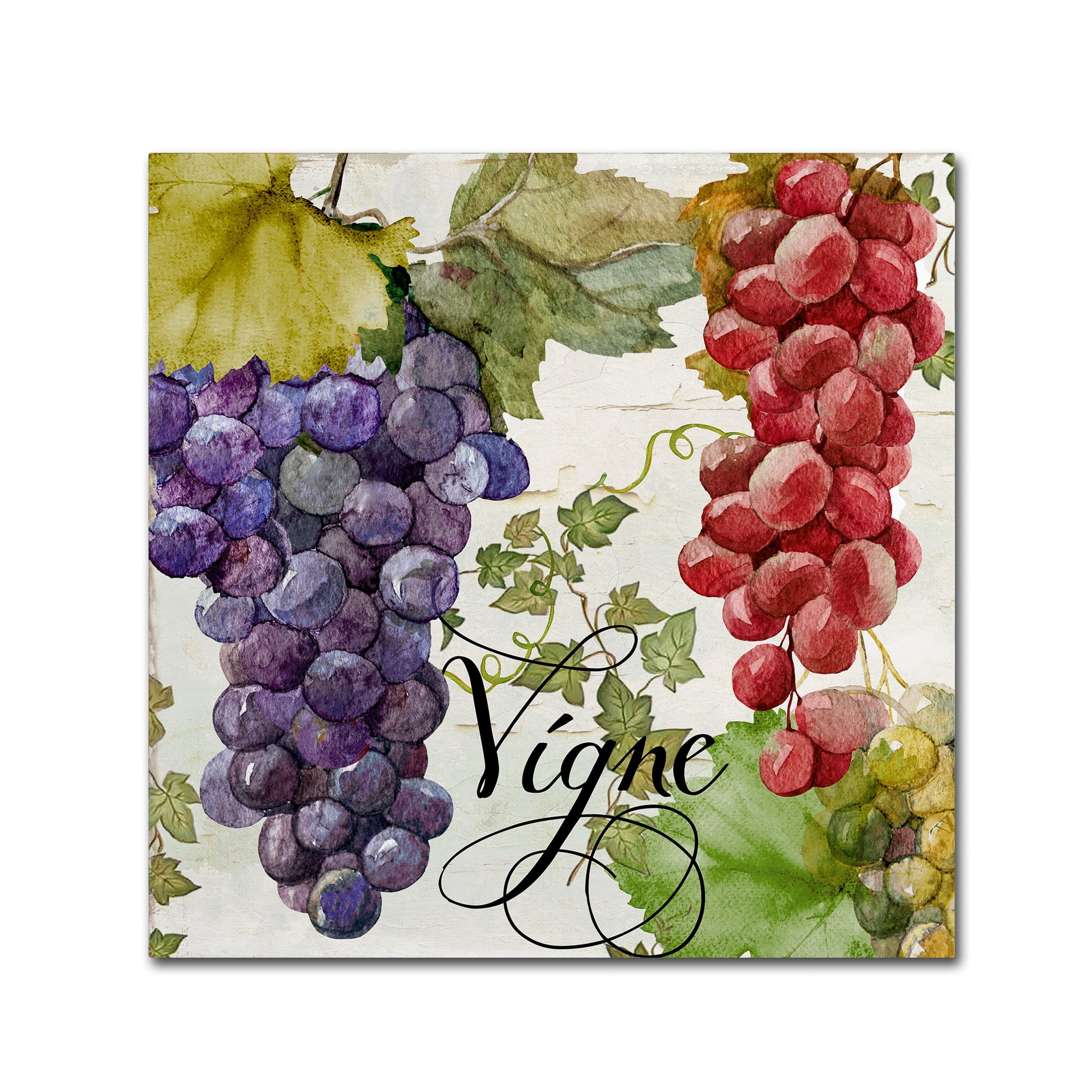 Trademark Fine Art "Wines of Paris I" Canvas Art by Color Bakery
