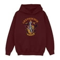thumbnail image 1 of Harry Potter Sweat à Capuche Fille Gryffondor Crest, 1 of 4