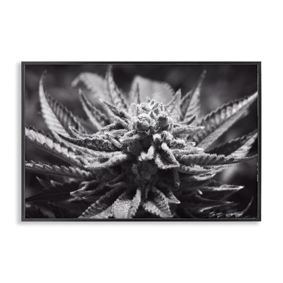 Stupell Industries Contemporary Black Framed Giclee Art, 18 x 12, by LIH