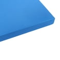 thumbnail image 4 of TPE Cushion Yoga Mat Stability Trainer Core Trainer Exercise, 4 of 6