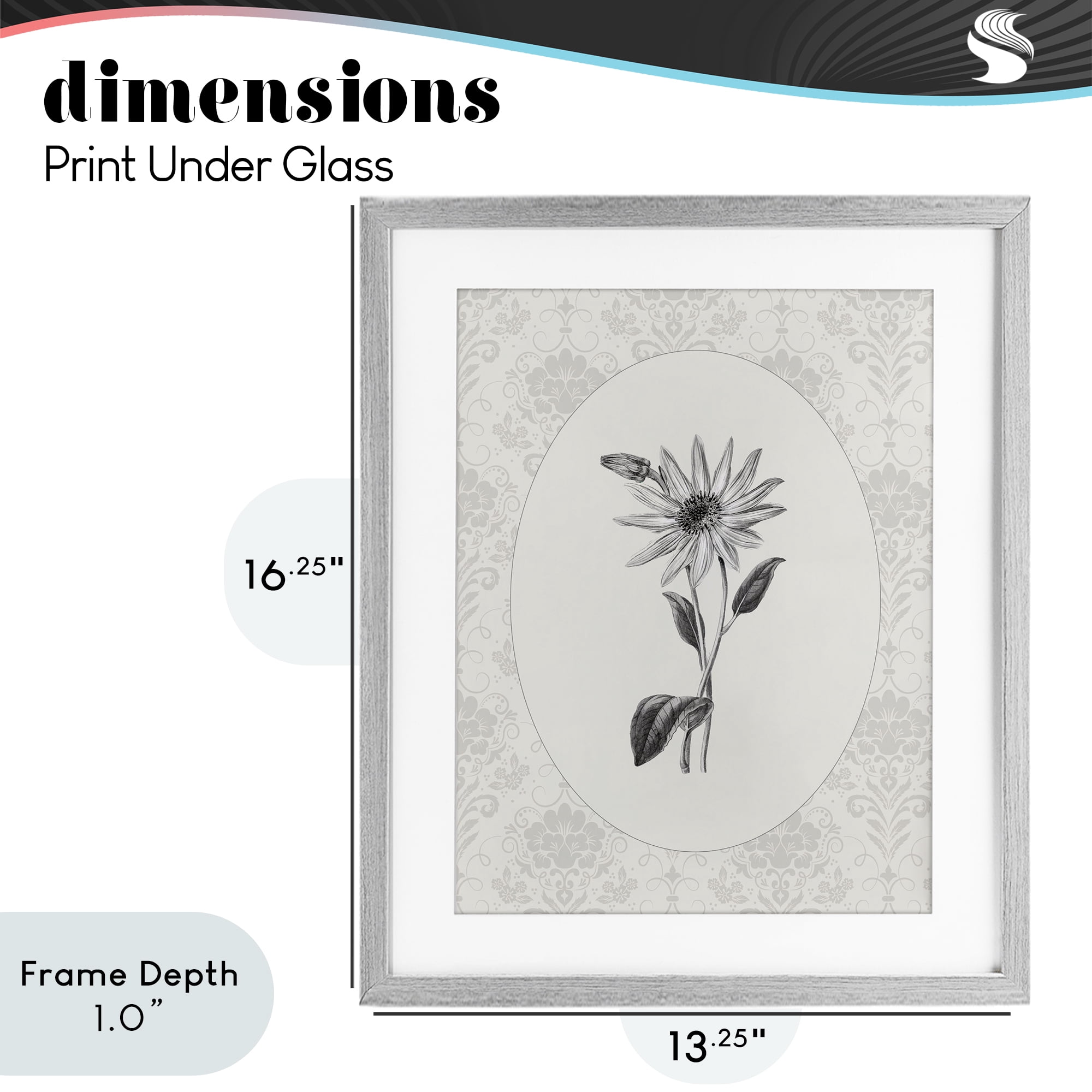 Stupell Industries Antique Botanical & Lace Gray Framed Print Under Glass, design by CAD Designs