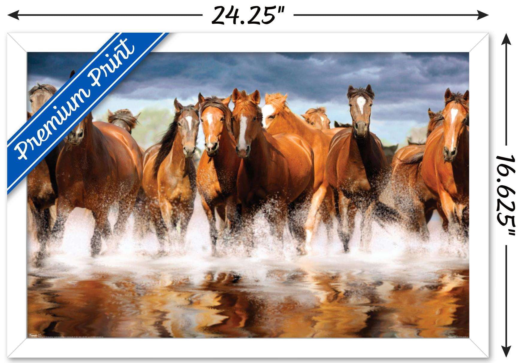 Horses Wall Poster, 14.725" x 22.375", Framed