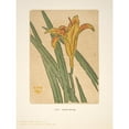 thumbnail image 3 of Arthur Wesley Dow 19x24 Black Modern Framed Museum Art Print Titled - Ipswich Prints; Lily (1901), 3 of 5