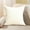 White, variant on Coollooc Euro Sham Pillow Covers, Waffle Weave Pillow Shams , Soft and Cozy Throw Pillow Covers for Bed Pillows, Decorative Euro Shams for Sofa and Couch