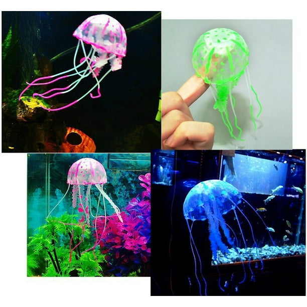 Small sales jellyfish aquarium