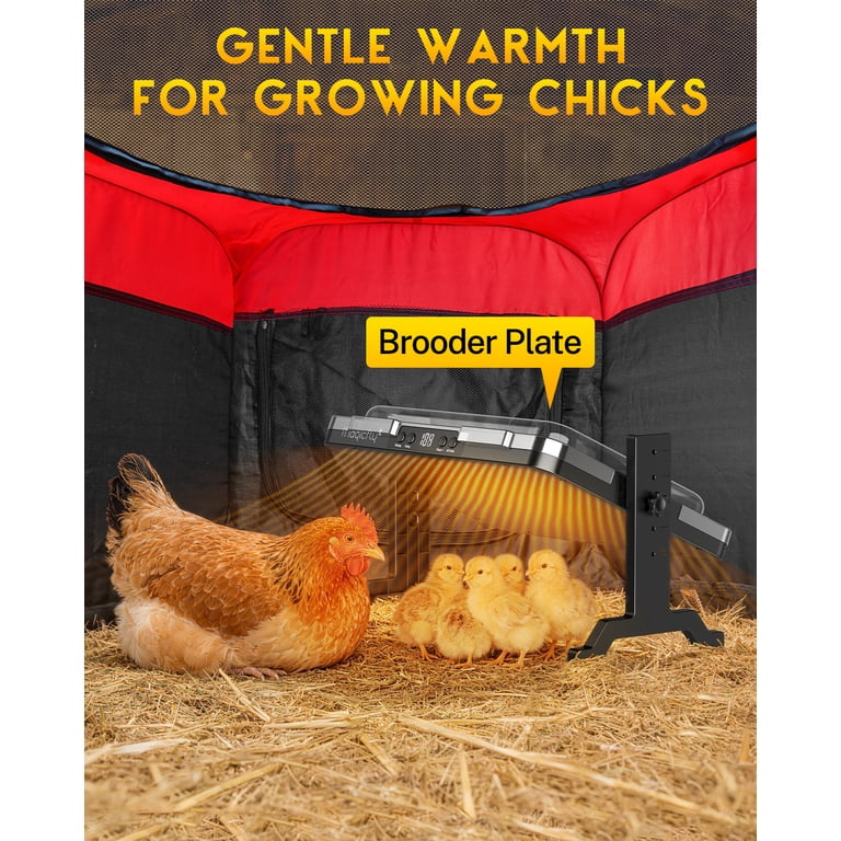 Magicfly Chicken Brooder Box for Chick Starter Kit with Heating Plate ,Playpen, Feeder, Waterer, Perch & Veggie Hanger for Indoor/Outdoor Use