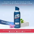 Lysol Air Sanitizer Spray, For Air Sanitization and Odor Elimination
