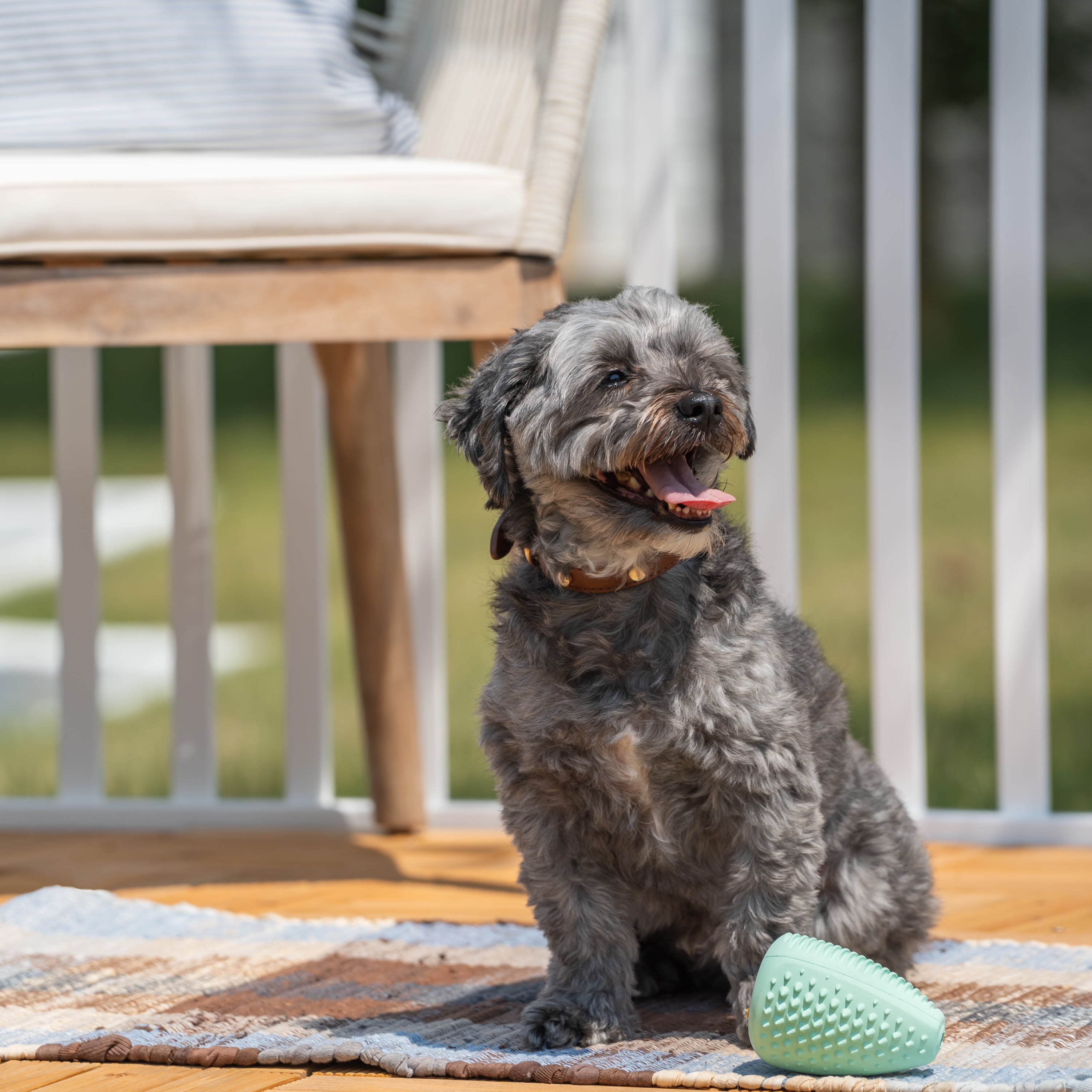 Chew King By Mammoth Dental Dog Toy Collection, Treater Clinically Proven to Remove Plaque