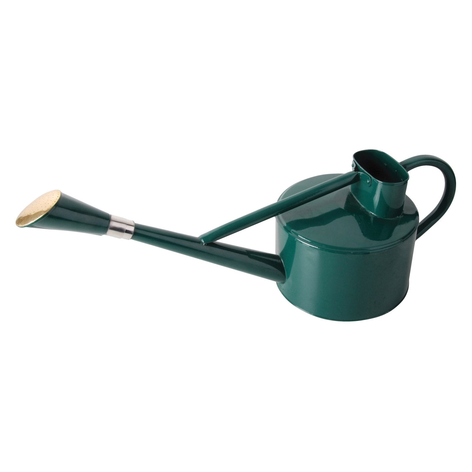 Freehawk Watering Can Stainless Steel Watering Pot with Long Spout for Indoor and Outdoor Plants or Flowers Watering 1L/33oz 