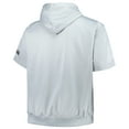 thumbnail image 3 of Men's Fanatics Silver Memphis Grizzlies Big & Tall Logo Pullover Hoodie, 3 of 3