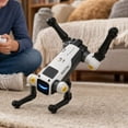 Programmable Dc Meter Robot Dog, Rechargeable Interactive Programmable Robot Dog Toy for Kids ...