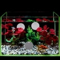 thumbnail image 1 of WRISTBIQUE 10Pcs Transparent Betta Tank Mirror for Daily Use with Suction Cup Acrylic Material, 1 of 8