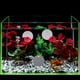 thumbnail image 4 of unbranded 10Ud Decorativo Con Ventosa Para Betta En Acrílico Transparente Para Pecera Y Oficina, 4 of 8