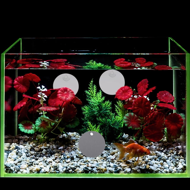 WRISTBIQUE 10Pcs Transparent Betta Tank Mirror for Daily Use with Suction Cup Acrylic Material