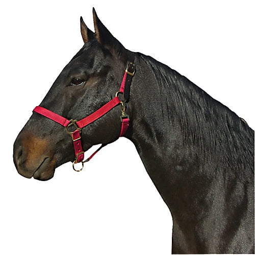 Basic Breakaway Crown Halter with Snap Pony Purple