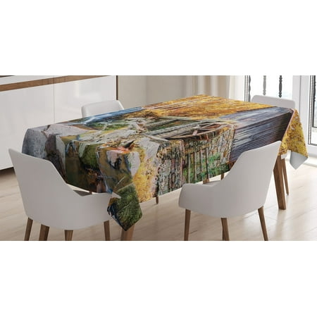 

Waterfall Tablecloth Fall Season Image of Historical Water Mill and Waterfall Outdoor Nature Art Rectangular Table Cover for Dining Room Kitchen Decor 60 X 90 Yellow Brown by Ambesonne