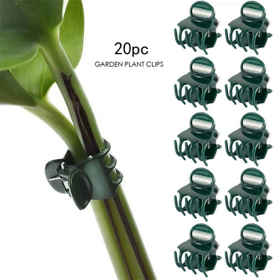 Dark Green Orchid Clips 20/100PCS Tiny Plastic Plant Clips Orchid Support Clips for Supporting Stems, Vines, Stalks to Grow Upright