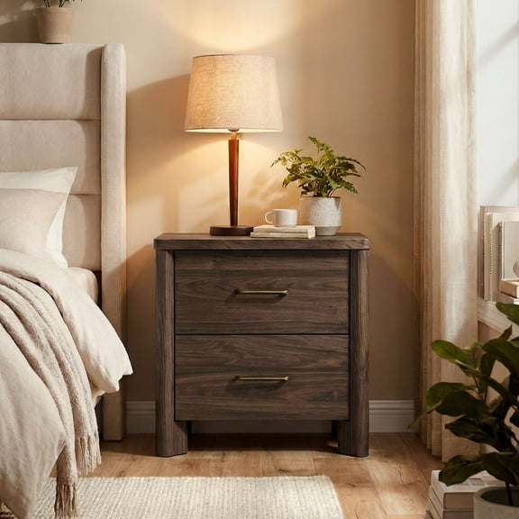 Furniture of America Gracie Modern Wood 2-Drawer Nightstand with USB Ports, Walnut