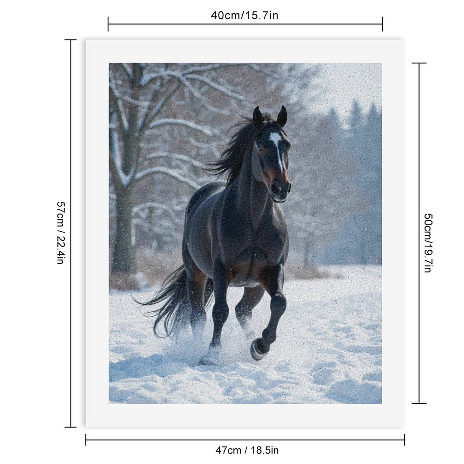 Paint by Numbers Kit for Adults, Black Horse Winter Gallop Paint by Numbers, Easy Paint by Numbers Kit for Adults Beginner, DIY Adult Paint by Number Kits on Canvas, Home Decor