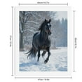 thumbnail image 2 of Paint by Numbers Kit for Adults, Black Horse Winter Gallop Paint by Numbers, Easy Paint by Numbers Kit for Adults Beginner, DIY Adult Paint by Number Kits on Canvas, Home Decor, 2 of 7
