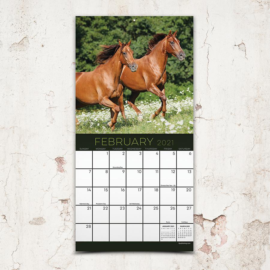 Horses 2021 Mini Wall Desk Calendar 7" X 7” by Lang Horses Equestrian New Sealed 