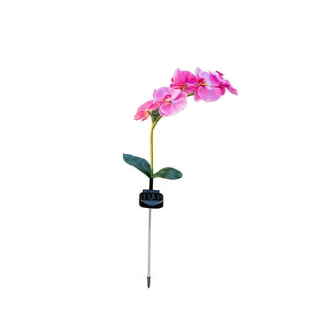 

Shpwfbe Home Decor Led Solar Light Polyestersturdygardenpeople Decoration