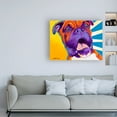 thumbnail image 3 of Trademark Fine Art 'Chance' Canvas Art by DawgArt, 3 of 3