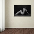 thumbnail image 3 of Anton Belovodchenko 'Bodyscape' Canvas Art, 3 of 3