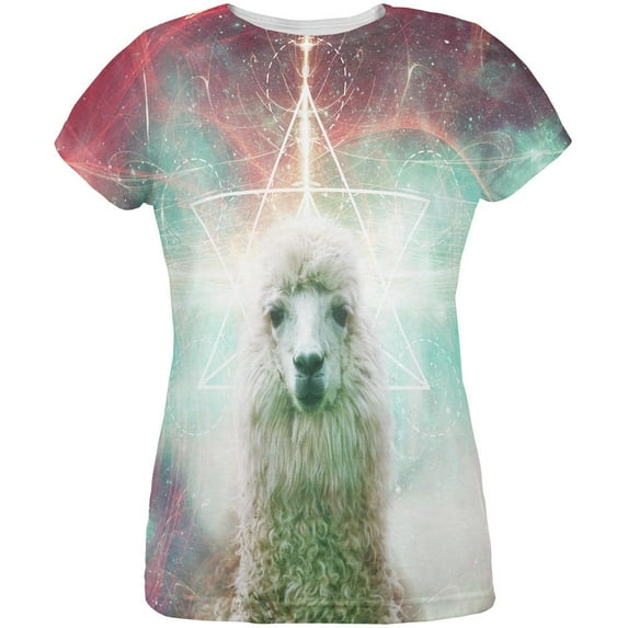 Galaxy Llama of Namaste Tetrahedron All Over Womens T Shirt Multi 2XL