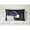 thumbnail image 2 of Carolines Treasures SS8490PW1216 Starry Night Border Collie Decorative Canvas Fabric Pillow 12H x16W multicolor, 2 of 3