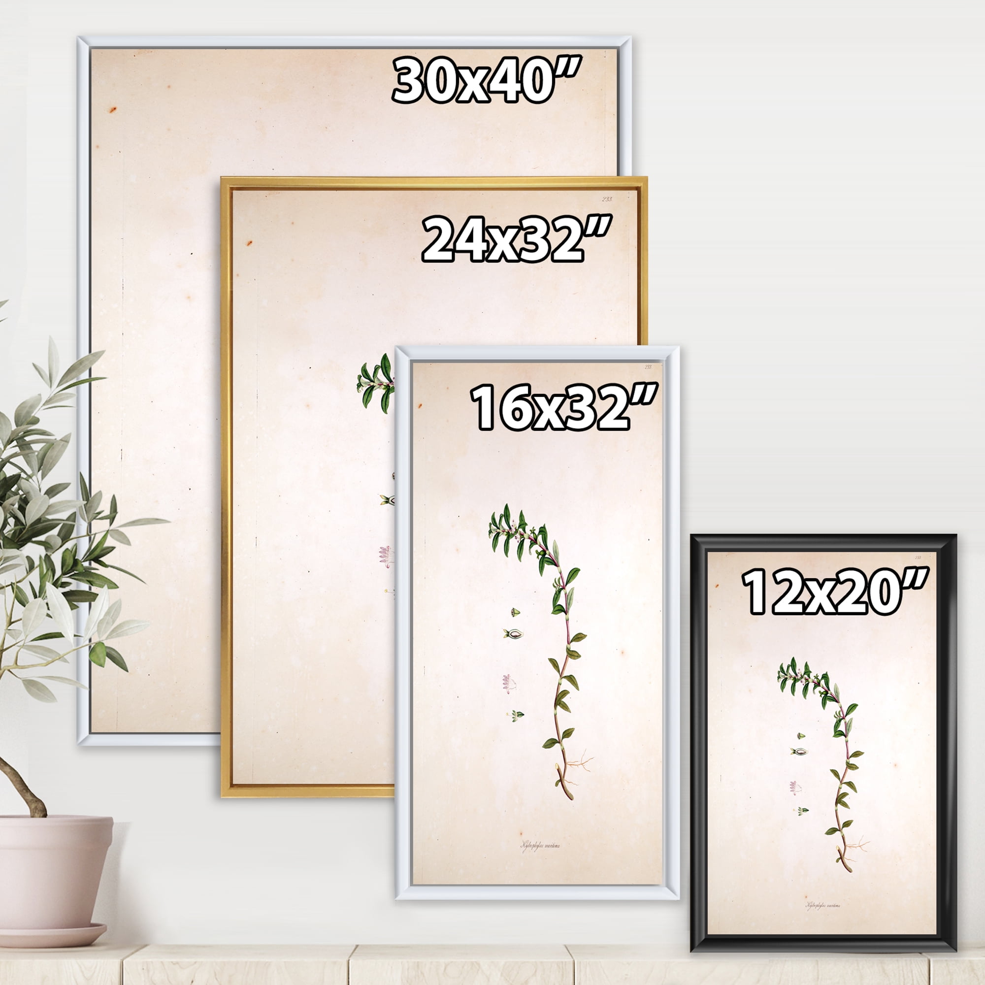 Designart 'Ancient London Plants II' Farmhouse Framed Canvas Wall Art Print