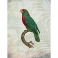 thumbnail image 2 of Butler, John 19x24 White Modern Wood Framed Museum Art Print Titled - Parrot Jungle VI, 2 of 4
