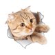 thumbnail image 5 of 6 uds 3D lindo gato decorativo pegatinas de pared para baño, decoración de pared de gatito roto para decorar dormitorio, baño, 5 of 5