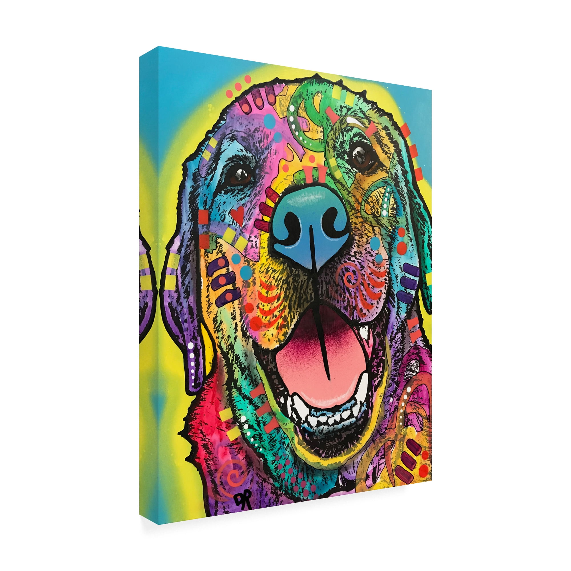 Trademark Fine Art 'Rocky Abstract Color' Canvas Art by Dean Russo