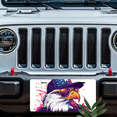 thumbnail image 5 of 1 Pcs 2D Flat License Plate Covers & Frames, Eagle wearing a hat For Decorative Front, Waterproof For Decoration Aluminum License Plate Covers & Frames Cover For Men Women, 12" X 6", 5 of 6