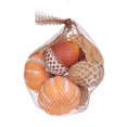 thumbnail image 1 of 5.5in Harvest PL Bagged PP Acorn/Pumpkin, 1 of 4