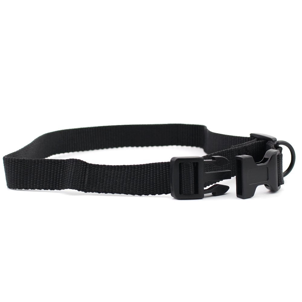 petrainer replacement collar