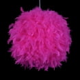 thumbnail image 2 of JFBUJC Feather Light Shade For Ceiling Pendant Light 30cm Fluffy Lamp Shade Lampshade Lightshade For Lamp, 2 of 4