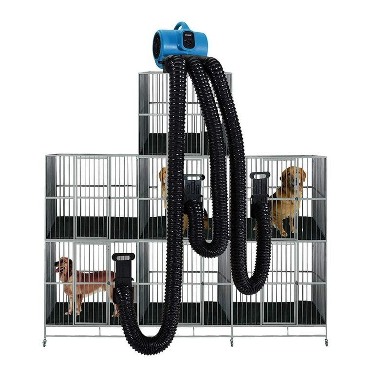 Petaum pet grooming dryer hot sale