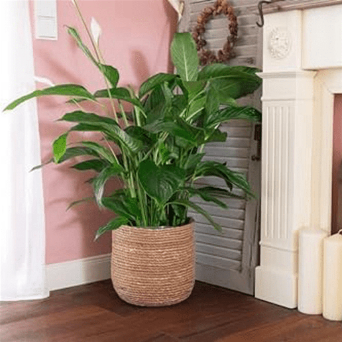 2X Seagrass Flower Pot - Woven Plant Decorative Basket with Plastic Film Insert in Boho Style S