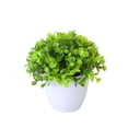 thumbnail image 1 of zhangmingg Bonsai Tree Miniature Potted for Home Desk, 1 of 5
