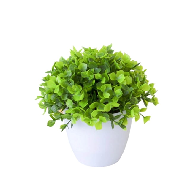 zhangmingg Bonsai Tree Miniature Potted for Home Desk