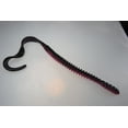 Luck-E-Strike 6 Inch Twirl Tail Worm Purple Fire Soft Baits Fishing Luck-E-Strike 6 Inch Twirl Tail Worm Purple Fire Soft Baits Fishing