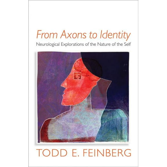 Norton Interpersonal Neurobiology From Axons to Identity: Neurological Explorations of the Nature of the Self, (Hardcover)
