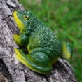 thumbnail image 2 of 1Pc Decorative Resin Frog Sculpture Statues Lawn indoor and outdoor Garden Decor, 2 of 8