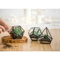 thumbnail image 2 of FFIY 4 Inches Mini Glass Geometric Terrarium Container Set of 3 Modern Tabletop Planter Shelves Decor Display Box Centerpiece Gift for Succulent Miniature Fairy Garden, Gold (Plant Not Included), 2 of 4