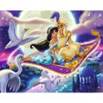 thumbnail image 1 of Pintura de diamante 5D Wdftyju DIY Príncipe Aladdin princesa Jasmine 50x40cm, 1 of 9
