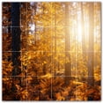 thumbnail image 1 of Picture-Tiles.com: Autumn Ceramic Tile Wall Mural WAL500018-44M. 24"W x 24"H using (16) 6" x 6" Ceramic Tiles-Satin Finish, 1 of 3